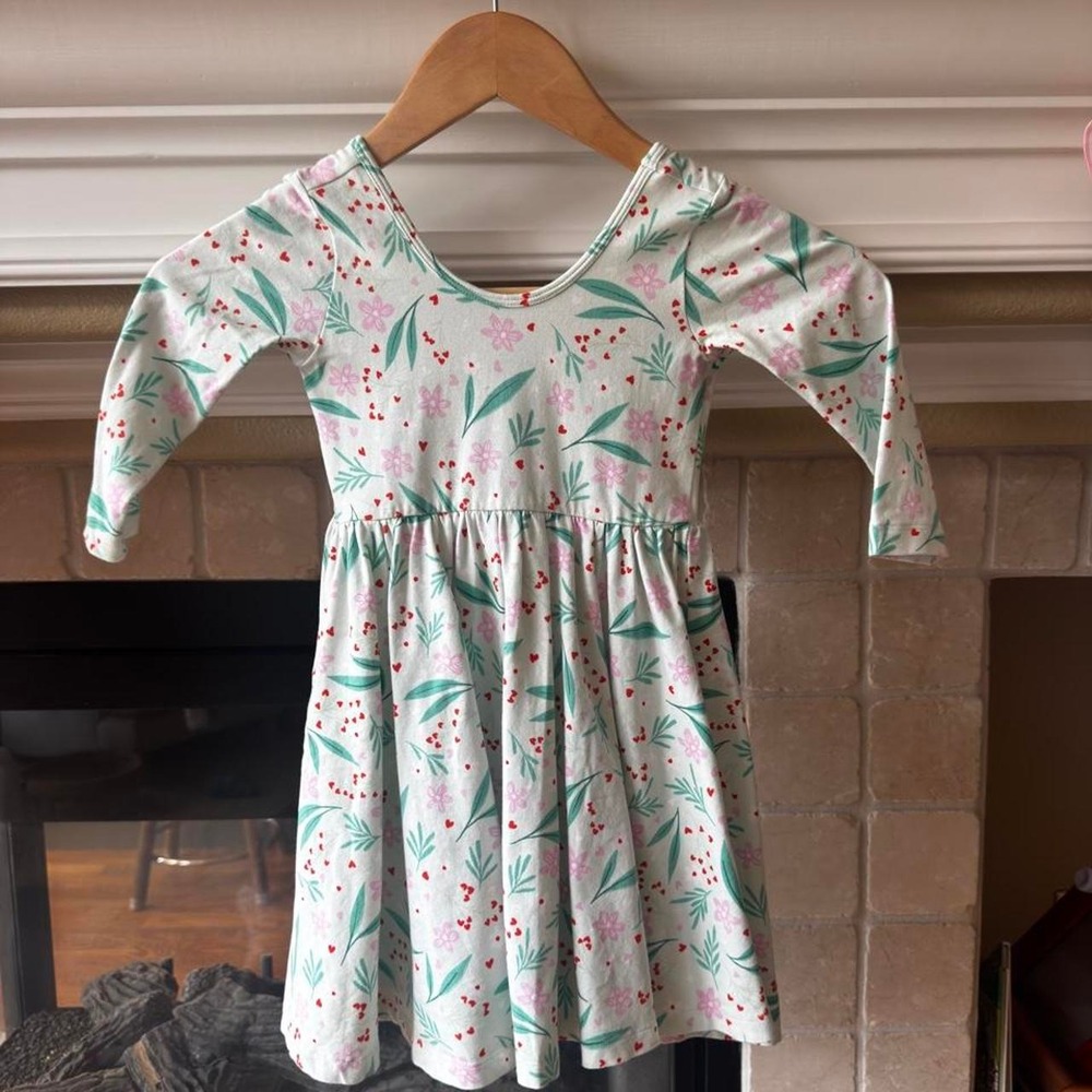 Alice + Ames mint green floral print ballet dress size 4T school pictures casual